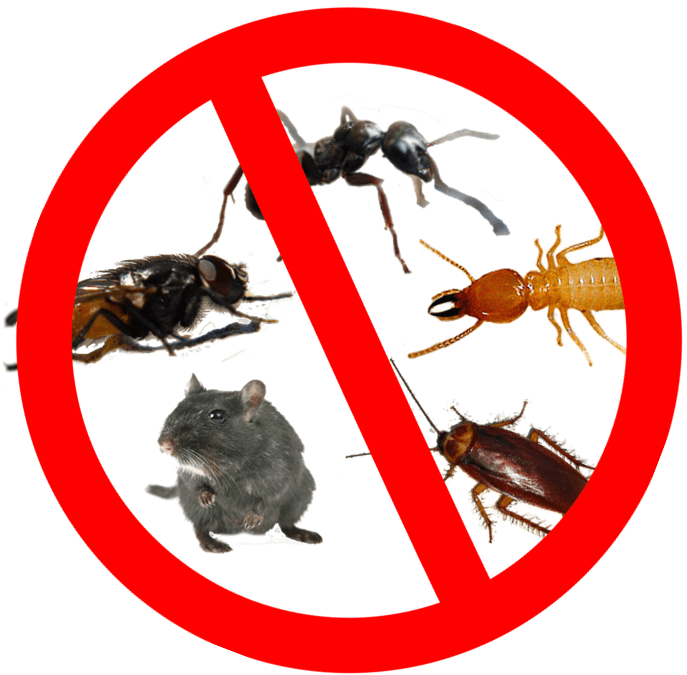 The Natural Way to Pest Control