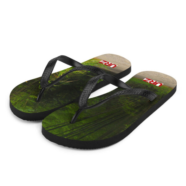 Flip-Flops - Image 2