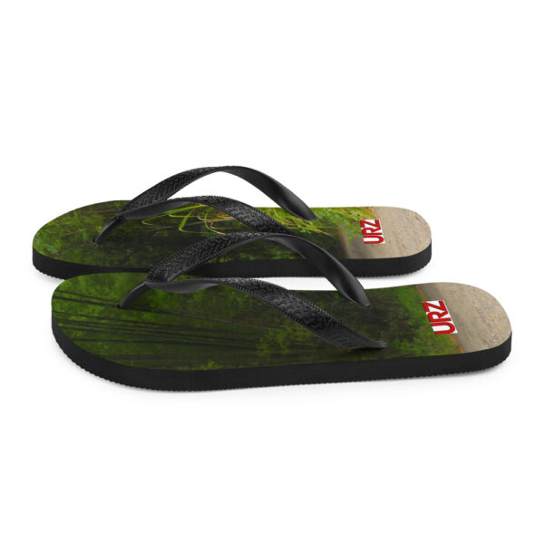 Flip-Flops - Image 6