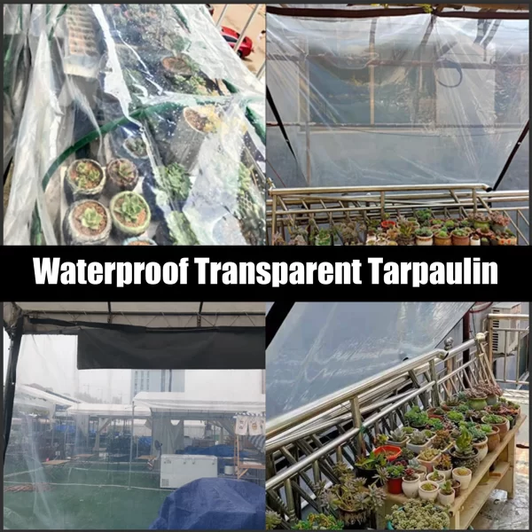 Thicken Transparent Waterproof Tarpaulin Garden Rainproof Clear Poly Tarp Plant Cover Insulation Shed Cloth with Grommets - Image 5